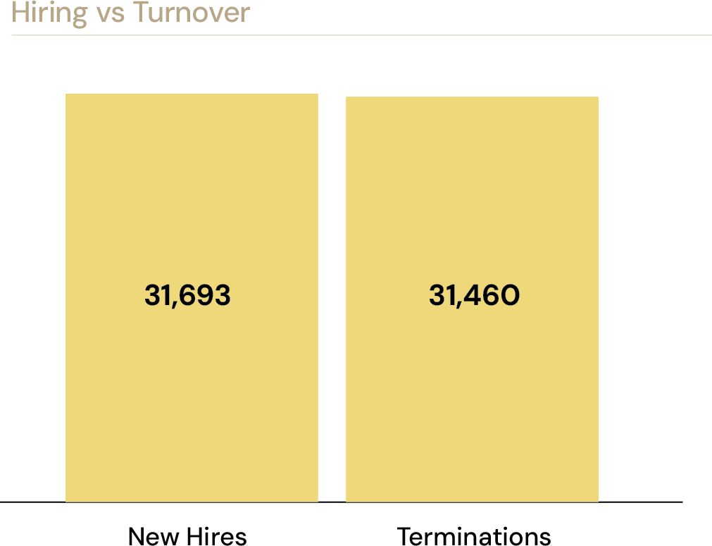 Hiring vs Turnover: New Hires 31,693, Terminations 31,460