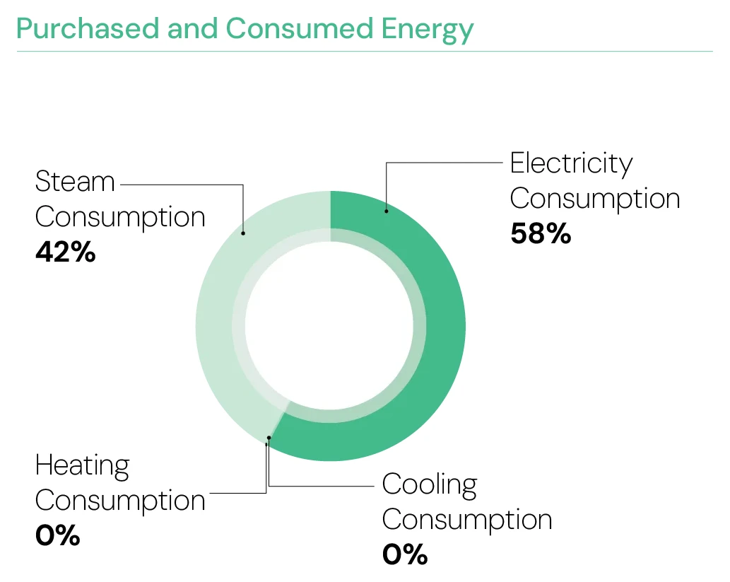 Purchased and Consumed Energy — Electricity 58%, Steam 42%, Heating 0%, Cooling 0%