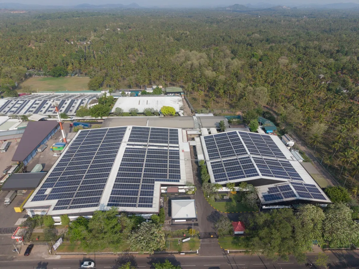 Aerial view of a MAS facility with extensive rooftop solar panels framed by coconut palms and forest